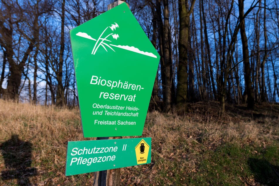 Ein Schild mit der Aufschrift "Biosphärenreservat Oberlausitzer Heide- und Teichlandschaft Freistaat Sachsen" informiert über eine Naturschutzzone.