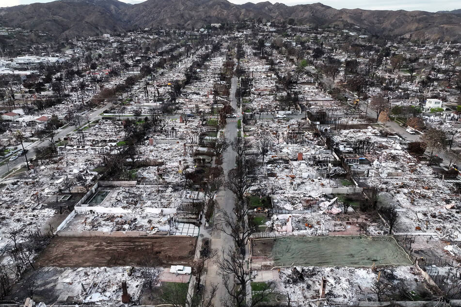 Over 16,000 homes were destroyed by the fires in January, while 31 people were killed.