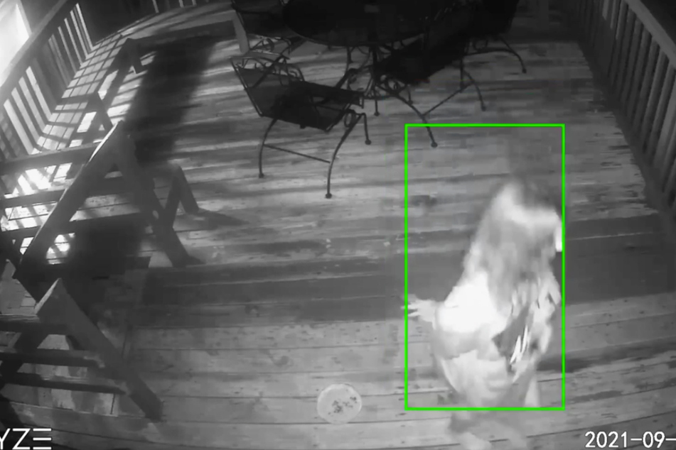 The "sketchy" woman was pacing around the family's porch.