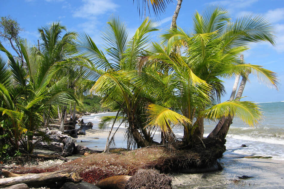 Wegen des grausamen Mordfalls fürchtet Costa Rica um seinen Ruf.