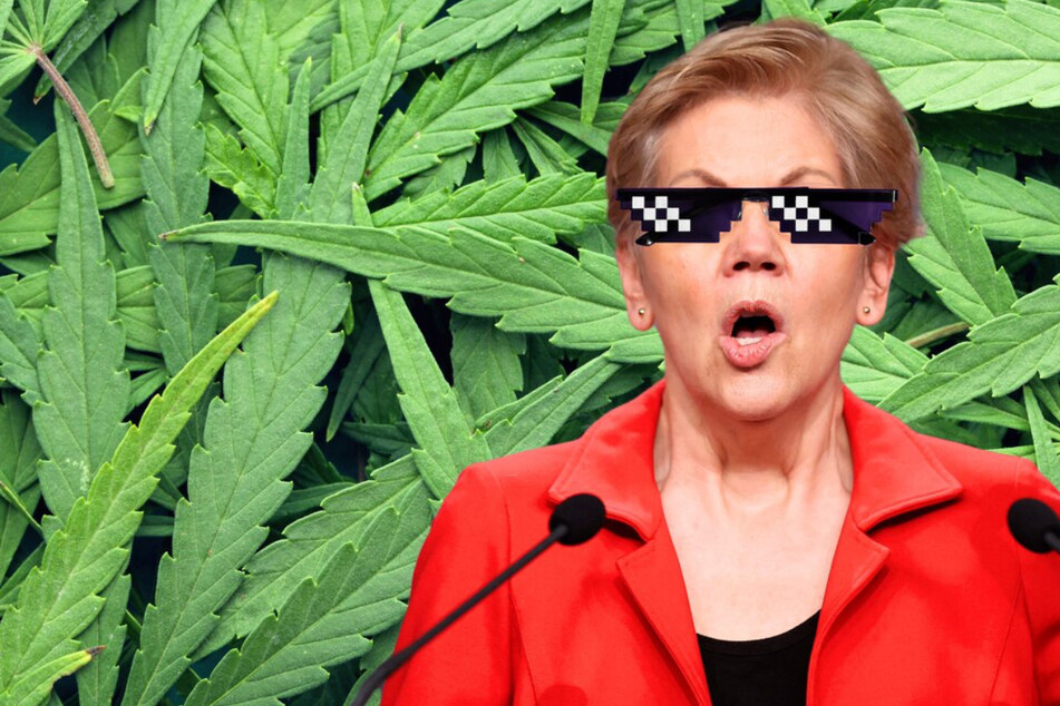 Elizabeth Warren reveals top pick for her "dream blunt rotation"