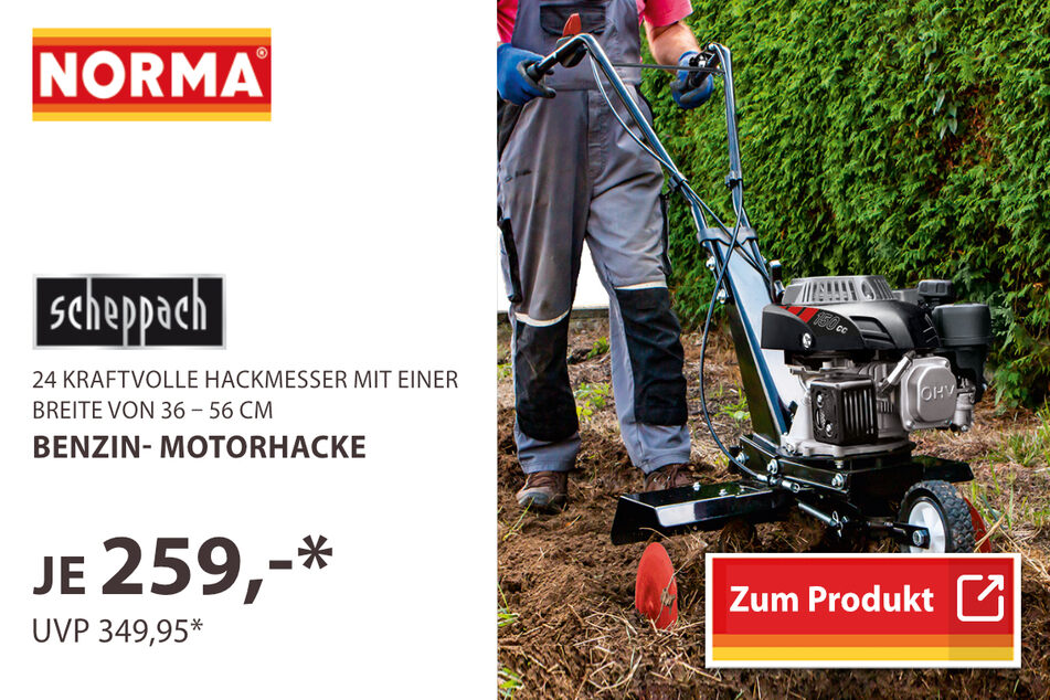 Benzin-Motorhacke