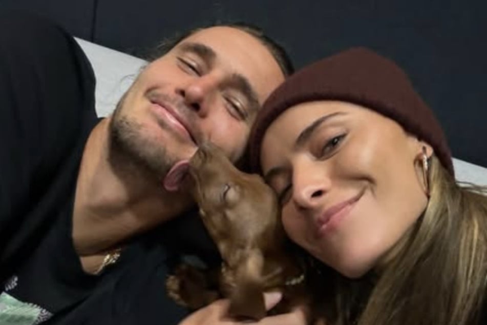 Seit knapp einem halben Jahr ist Dackelrüde Mishka Teil der Familie.