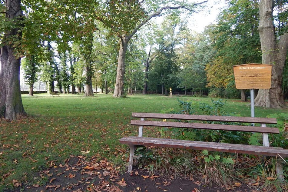 Früher wurde der Gutspark gehegt und gepflegt, doch seit den 90er Jahren ist hier nicht mehr viel passiert.