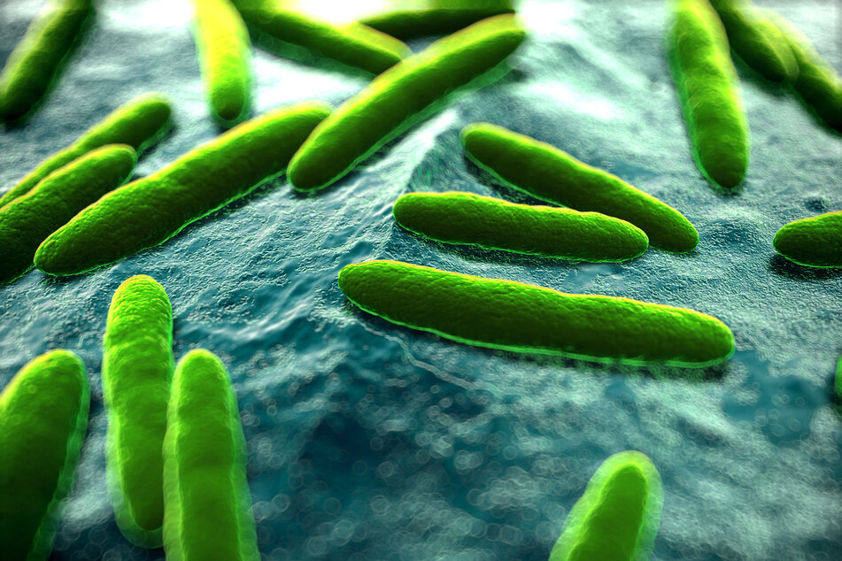 Bacteria could be another piece to the climate puzzle.