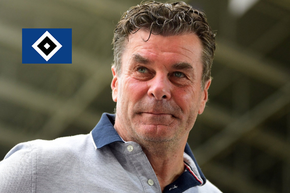 Ex-HSV-Coach Hecking hat einen neuen Job!