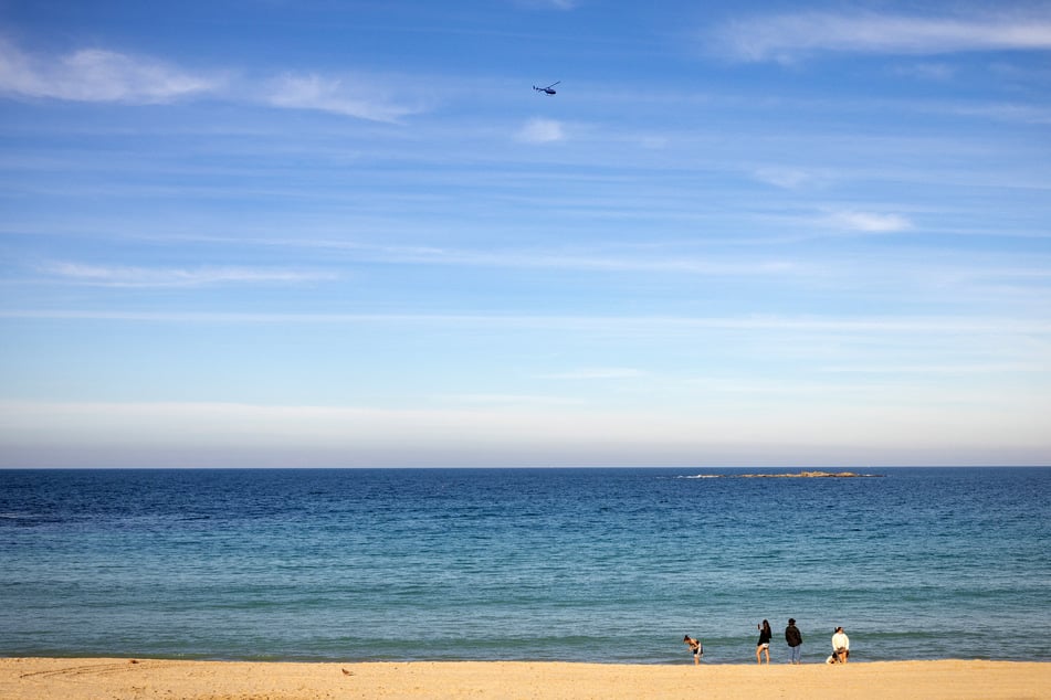 Eine 35-Jährige wurde beim Schwimmen am Coogee Beach in Sydney von einem Hai angegriffen und dabei lebensgefährlich verletzt.