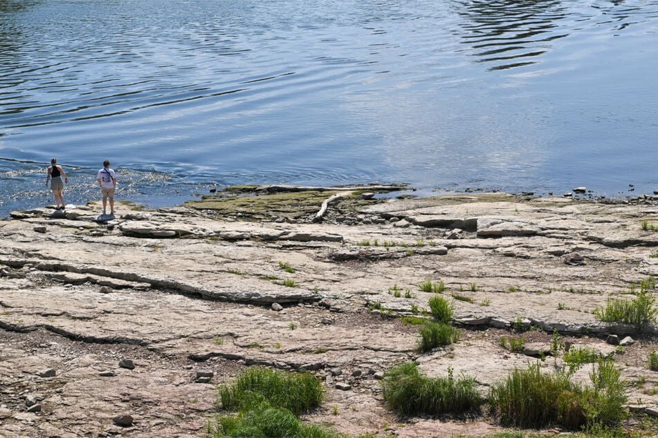 Neuer Negativ-Rekord? Wasserstand der Elbe in Magdeburg sinkt weiter