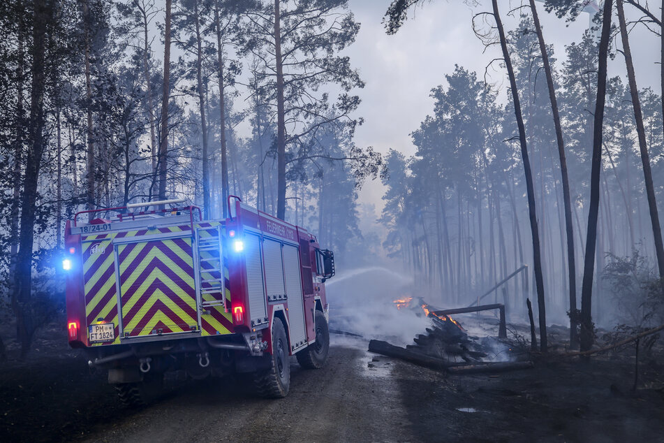 Auch im vergangenen Jahr hatte die Feuerwehr mit zahlreichen Waldbränden zu kämpfen - hier im Landkreis Elbe-Elster. (Archivbild)