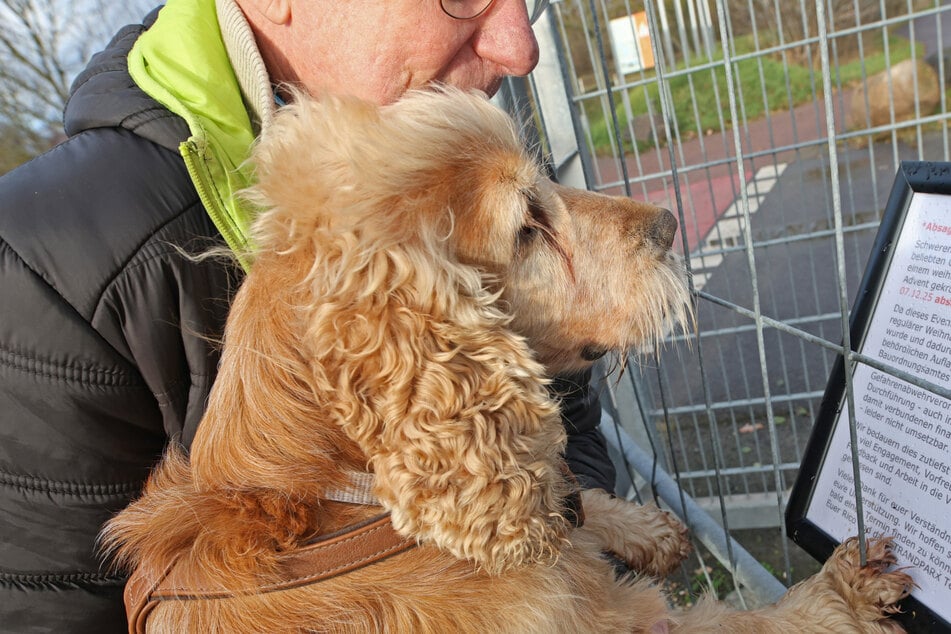 Hunde-Weihnachtsmarkt in Magdeburg kurzfristig abgesagt, aber warum?