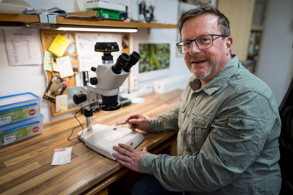 Jens Kipping (57) aus Taucha ist Experte für afrikanische Libellen. Viele Unterschiede lassen sich erst am Mikroskop erkennen.