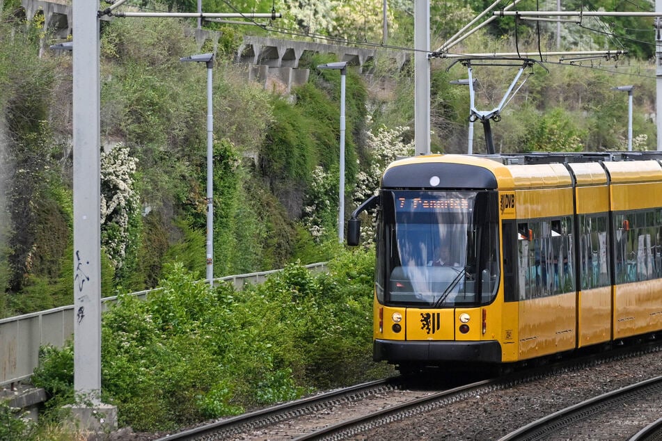 DVB-Einschränkungen: Seit Montag gelten diese Änderungen bei Bus und Bahn