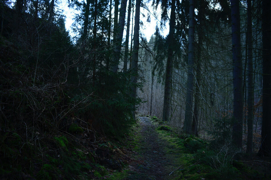 In der Umgebung von Lichtenberg in Oberfranken verschwand 2001 die neunjährige Peggy.