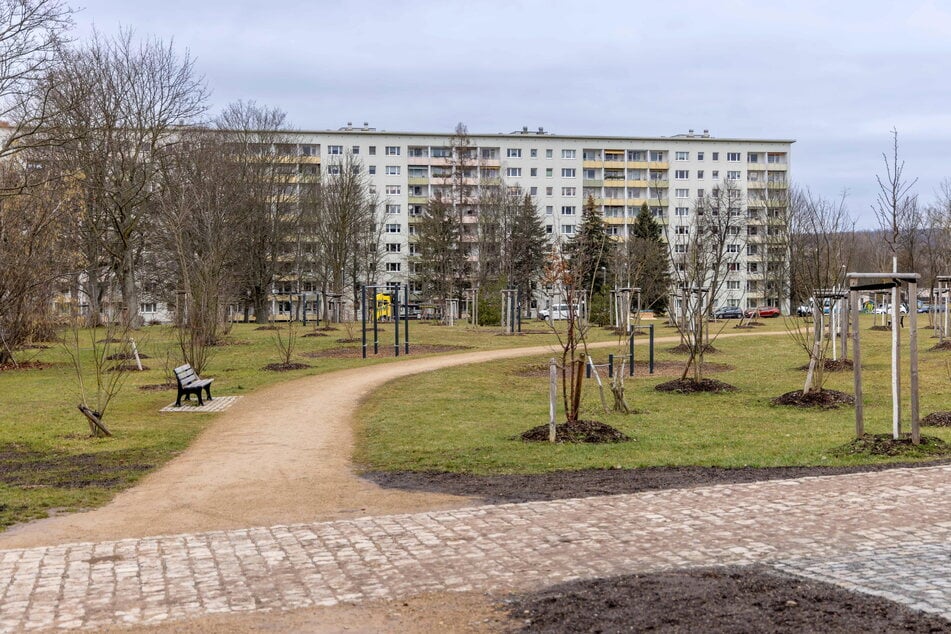 Die Täter flüchteten ins nahegelegene Wohngebiet. Die Polizei hat erste Hinweise auf die Prügel-Teenies.
