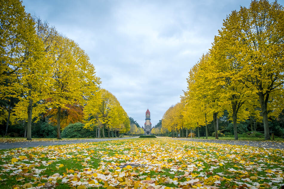 Ein Spaziergang auf dem Südfriedhof wird im Herbst zu einem extraschönen Erlebnis.