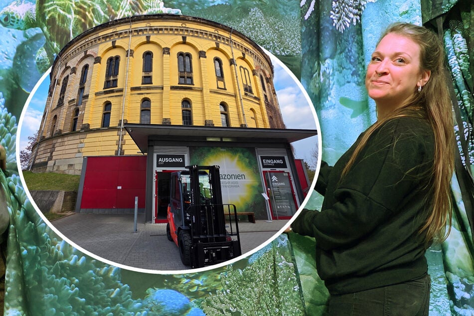 Dresden: Neue Panometer-Ausstellung: Unterwasserwelt statt Amazonien