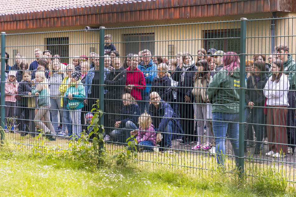 Drei Stunden lang konnten Besucher schauen, ob sie ihr Zuhause mit einem neuen Haustier bereichern wollen. Zudem erklärten Tierpfleger ihre tägliche Arbeit.