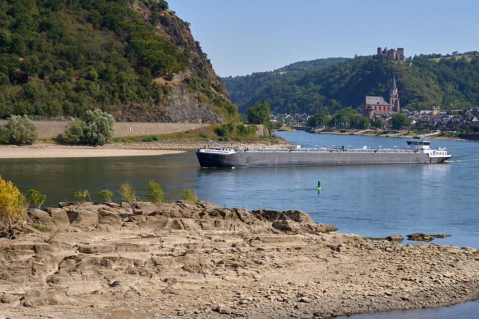 Niedrigwasser im Rhein ist schuld: Deutliche Steigerung bei Frachtkosten