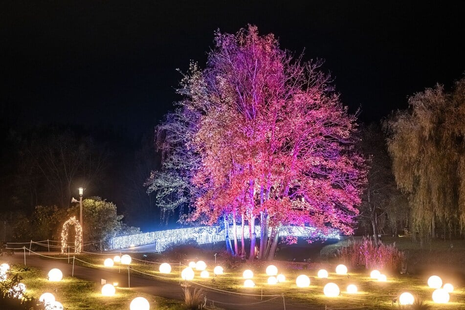 Fünfeinhalb Wochen lang hat der "Christmas Garden Leipzig" revealed.