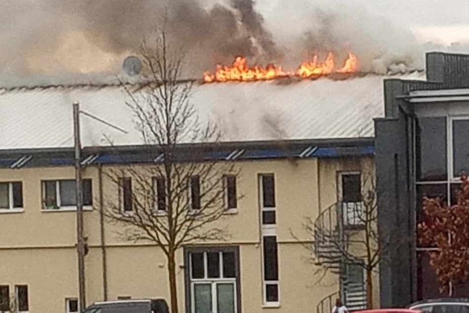 Feuer auf Gelände von Metallbaufirma: Halle, Büros, Wohnungen betroffen