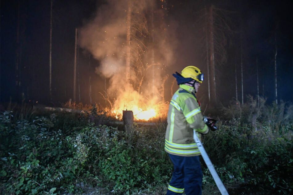 Landkreis Harz setzt bei Waldbränden auf Früherkennung per Satellit