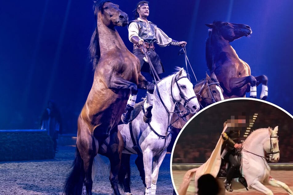 Tierquälerei? PETA erhebt schwere Vorwürfe gegen Pferdeshow "Cavalluna" und erstattet Anzeige