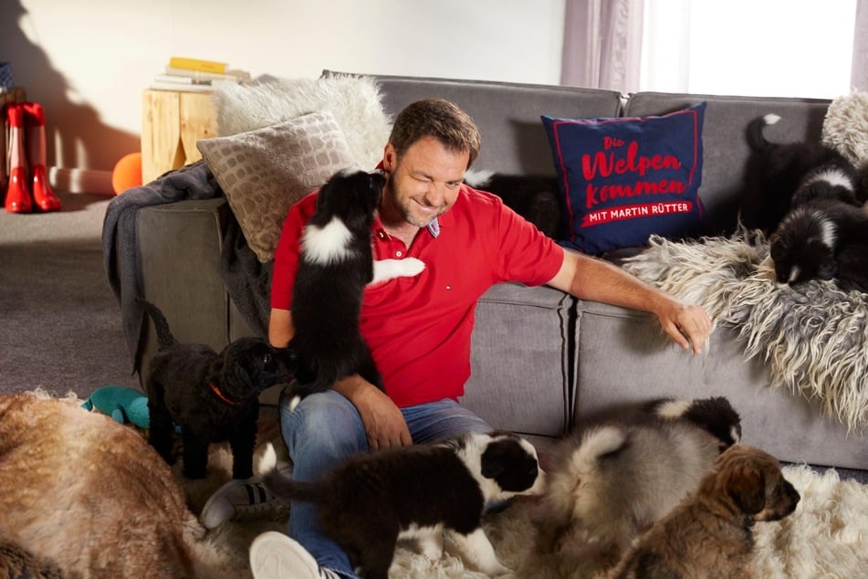 Martin Rütter (54) weiß ganz genau, wie Hundewelpen ticken.