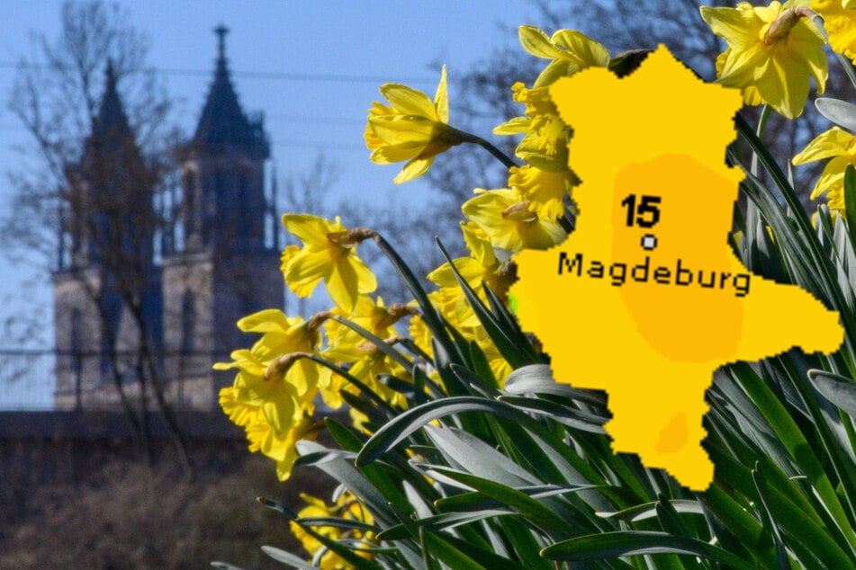 Sonne-Wolken-Mix versüßt Sachsen-Anhalt das Wochenende