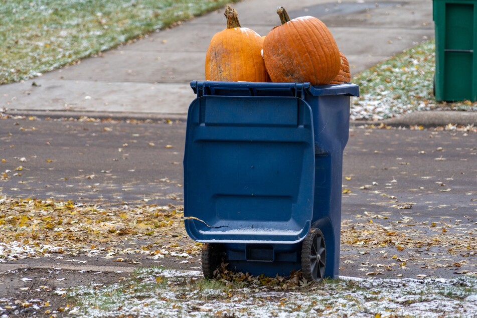 Don't just toss your Jack-o-lanterns out with the trash. Here are some tips to see you through.