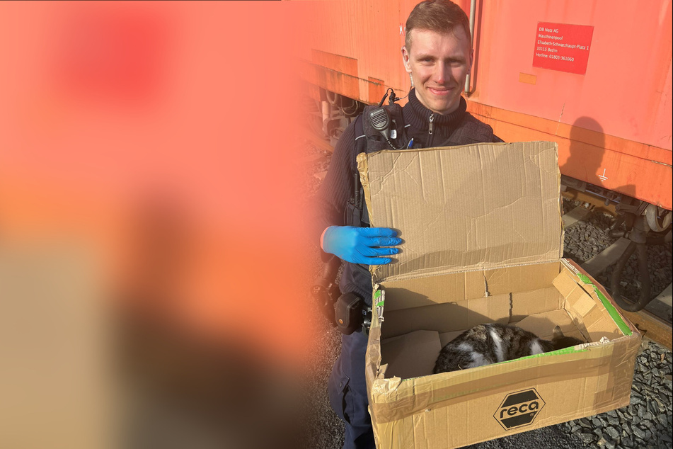 Polizeimeister Max Grom (19) vom Bundespolizeirevier Fulda holte die verletzte Katze von den Bahngleisen.