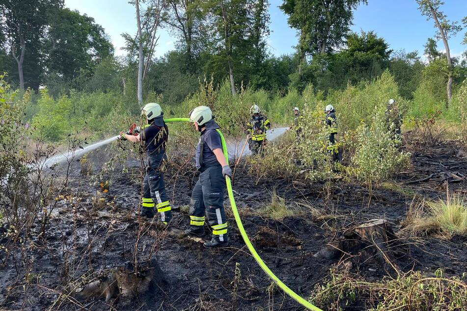 Um alle Glutnester im Unterholz zu finden, setzten die Feuerwehrleute auch eine Wärmebildkamera ein.