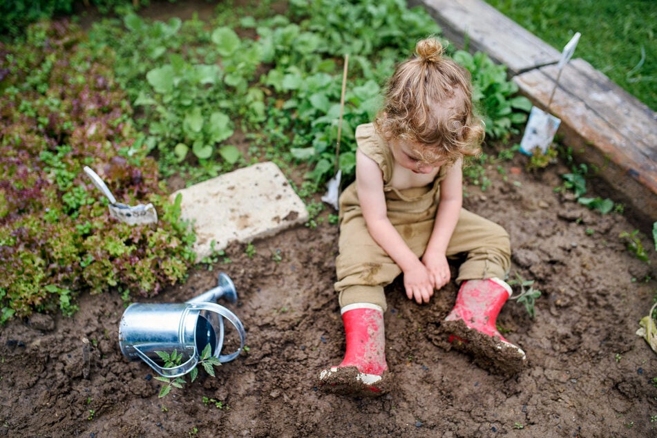 Mit dem Ackerprojekt möchte die Kita den Kindern spielerisch vermitteln, wie gesunde Ernährung funktioniert und woher unsere Lebensmittel stammen. (Symbolbild)