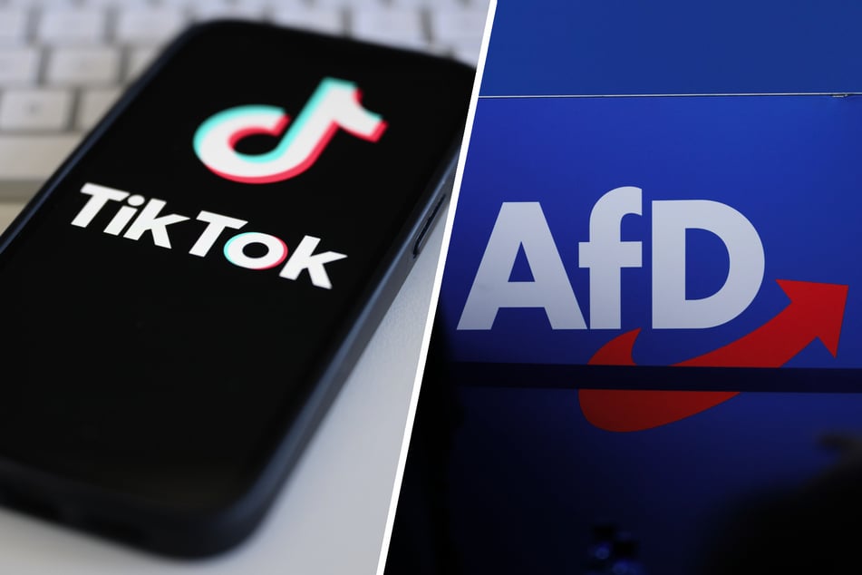 Von wegen "TikTok"-Partei: Wird AfD-Reichweite in sozialen Medien überschätzt?