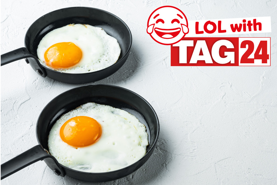 Today's Joke of the Day is egg-cellent!