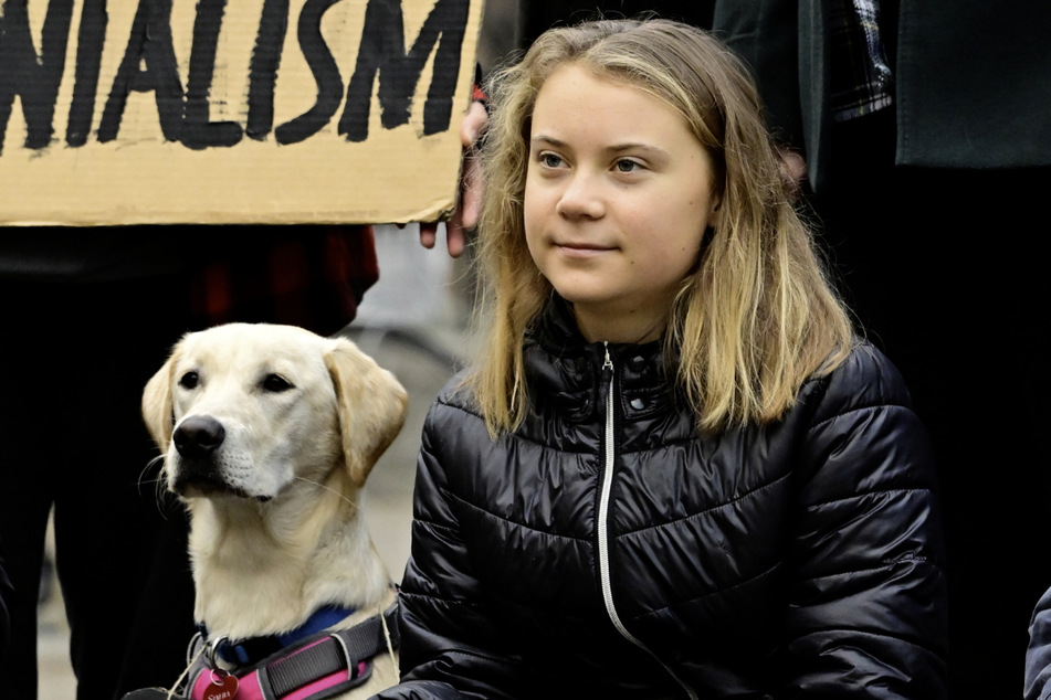Greta Thunberg (20) bei einer Demonstration von "Fridays for Future" auf dem Mynttorget.