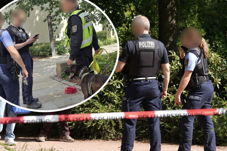 Dresden: Messerattacke am Lennéplatz! Zwei Verletzte im Krankenhaus, Polizei sucht nach Tatwaffe