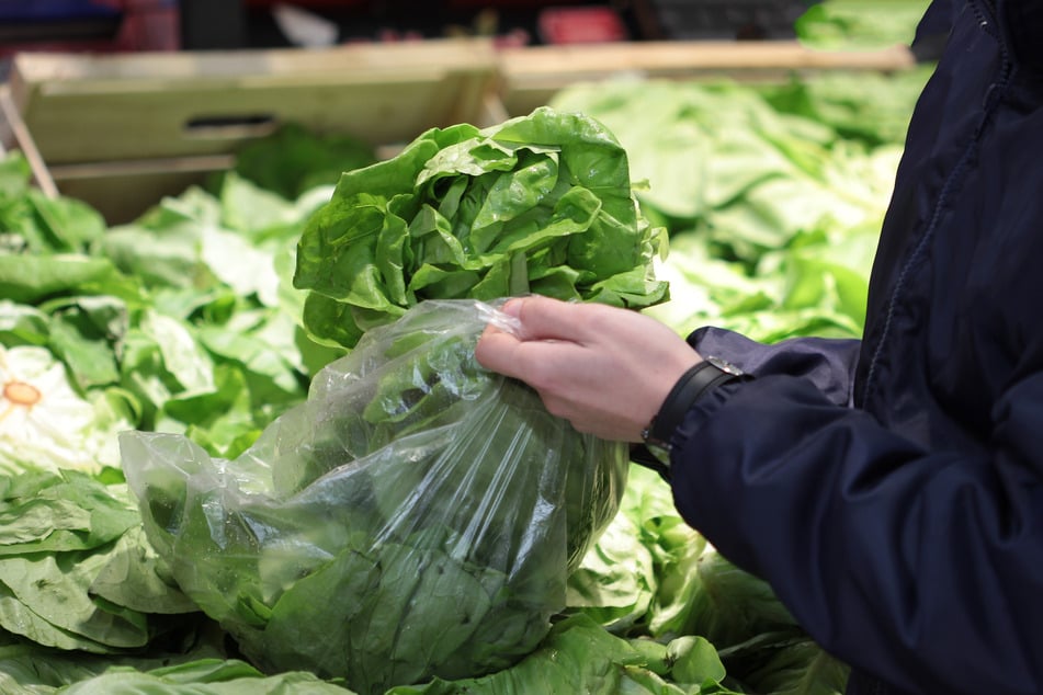 Bei dem Streit zwischen zwei Frauen in Bad Bergzabern (Landkreis Südliche Weinstraße) wurde unter anderem ein Kopfsalat zum Wurfgeschoss. (Symbolbild)