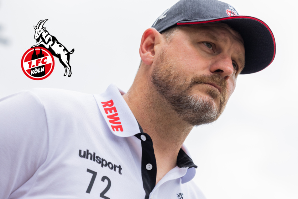 Hochwasser-Katastrophe: 1. FC Köln plant Benefizspiel!