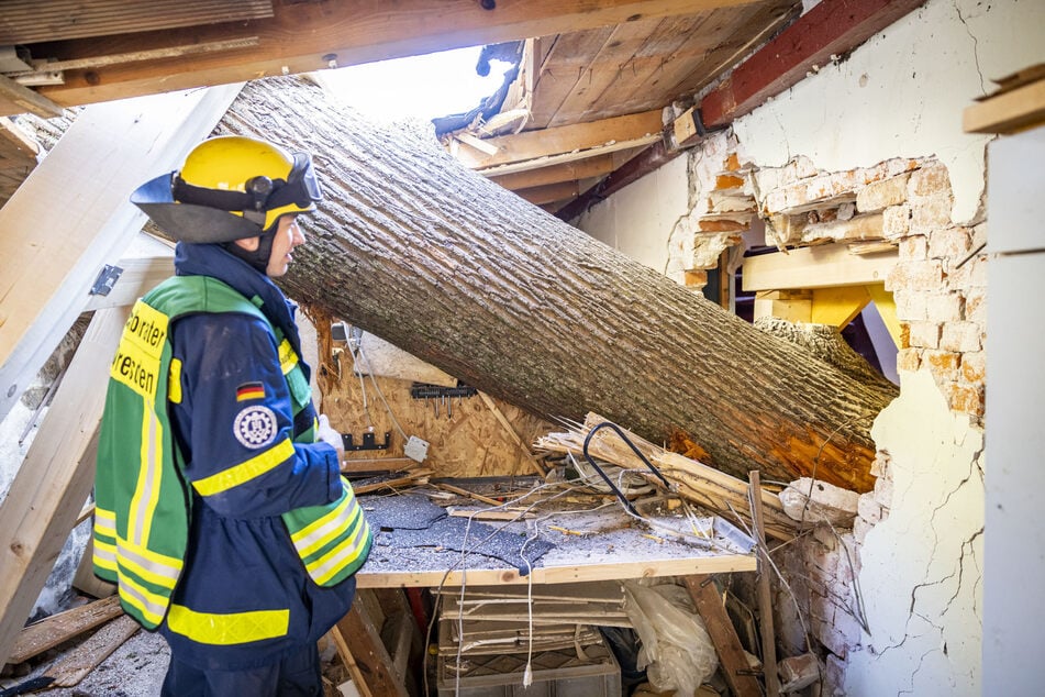 Missglückte Baumfällung am Hang: Eichenstamm schlägt in der guten Stube ein