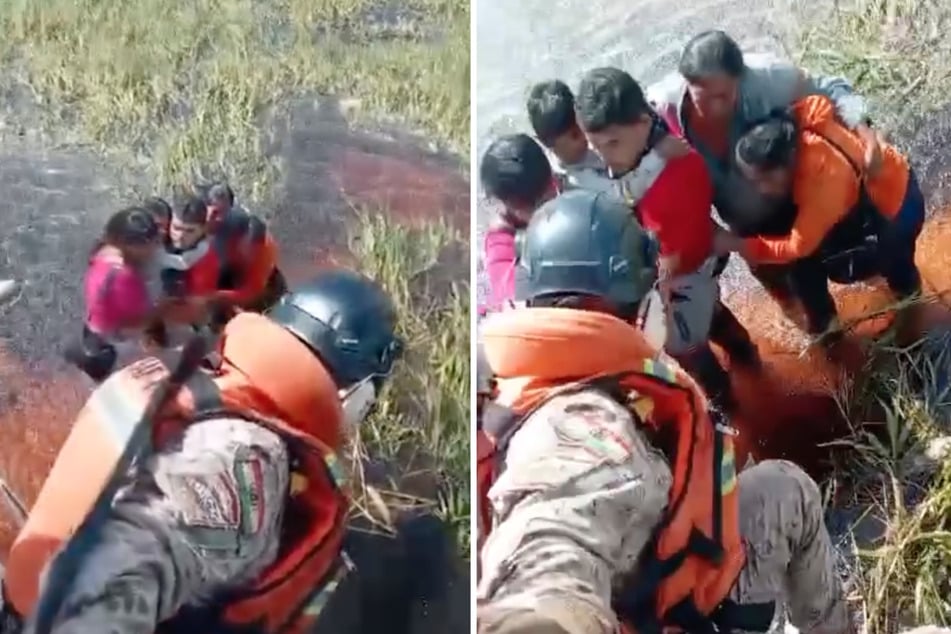 Plane crashes into swamp: people survive two days in alligator nest