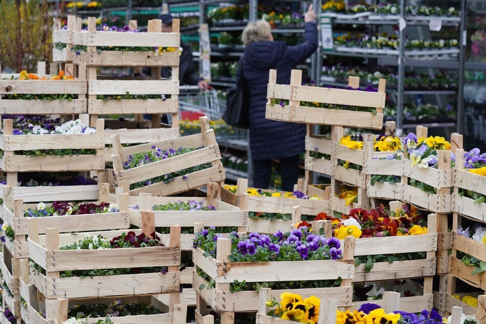 In Magdeburg geriet ein Gartencenter ins Visier von Dieben. (Symbolbild)