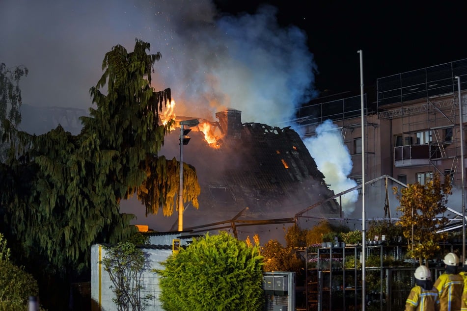 Bei dem Brand in einer Gärtnerei in Wesseling wurden in der Nacht zu Freitag drei Menschen verletzt.