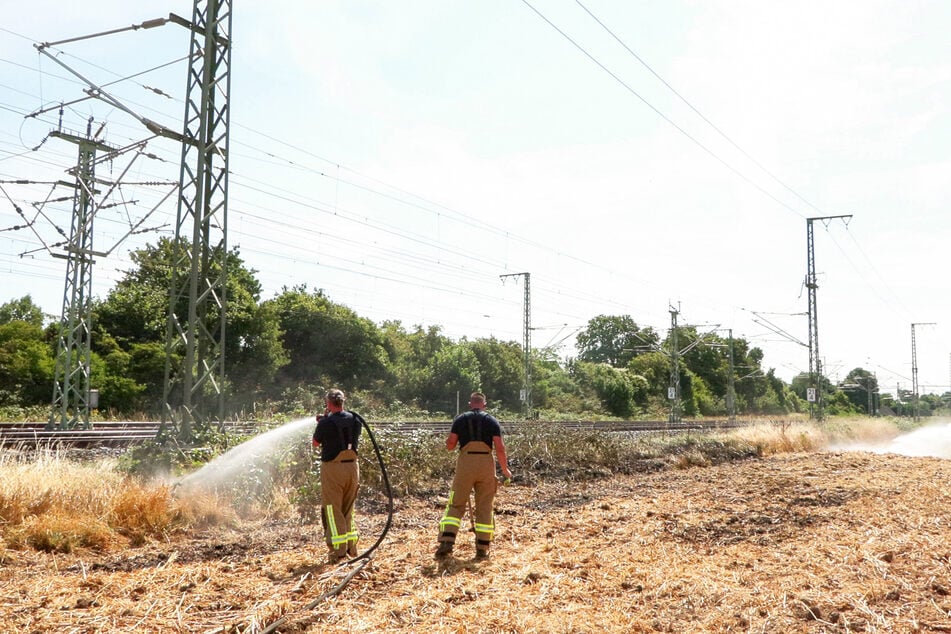 Einsatzkräfte bekämpften die Flammen an der Bahnstrecke. Warum das Feuer ausbrach, ist bislang noch unklar.