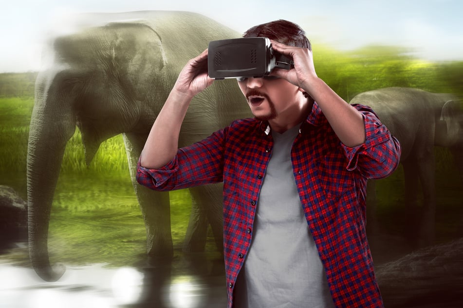 Virtual Reality (VR, auch ohne Brille möglich) ermöglicht das Erleben von Wildtieren, ohne etwa Elefanten vor Ort halten zu müssen.
