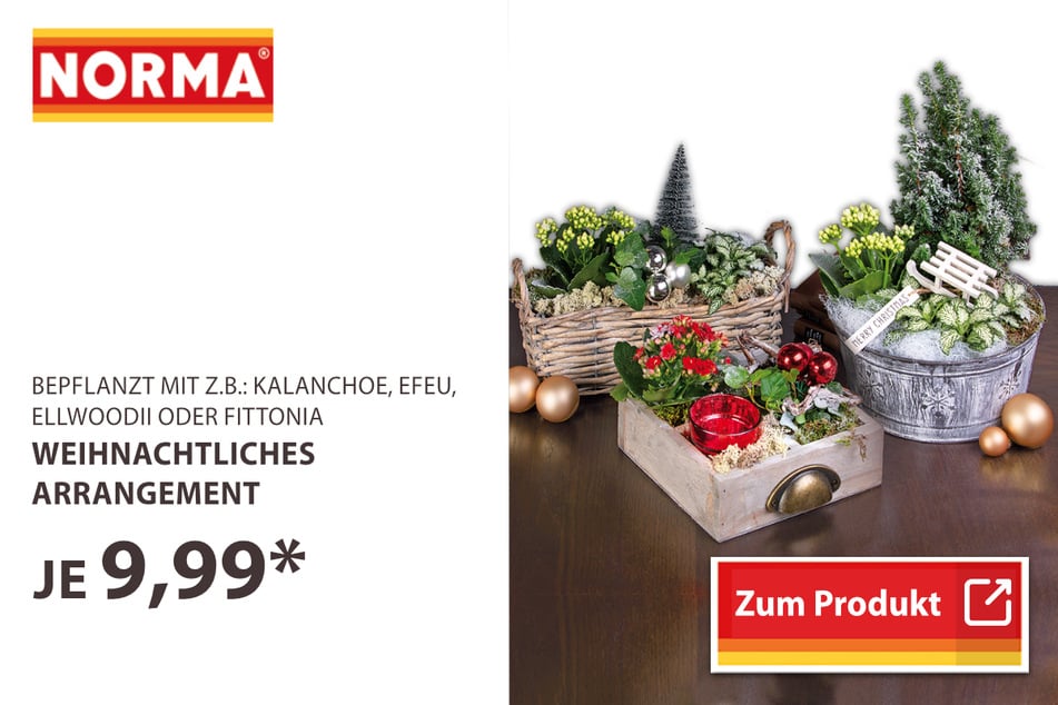 Weihnachtliche Arrangements