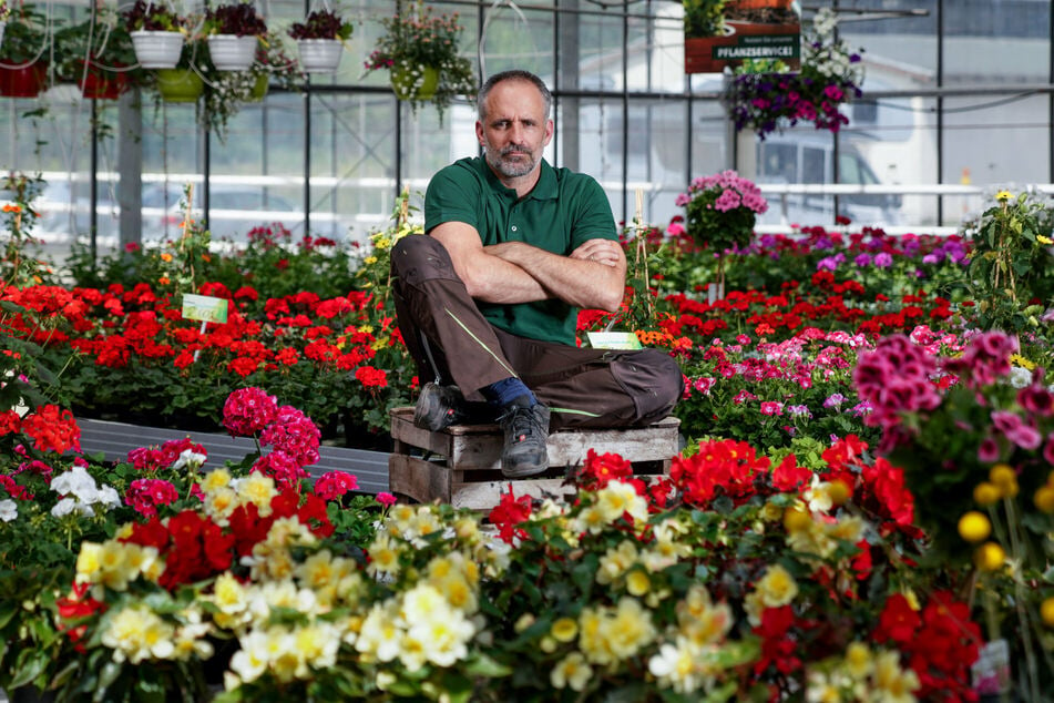 Gärtnerei-Chef Andy Nietzold (43) hofft, dass seine hübschen Pelargonien nicht in der Tonne landen.