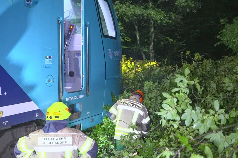 Die Feuerwehr entfernte die umgestürzten Bäume.