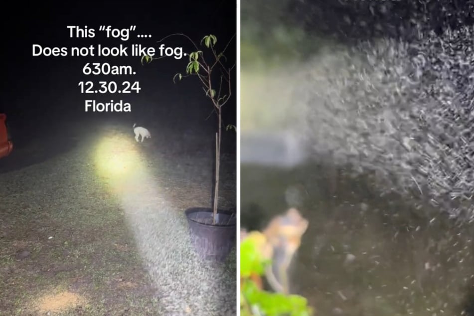 Unter dem Licht einer Taschenlampe werden "weiße Partikel" im Nebel sichtbar, schildert ein User bei TikTok.