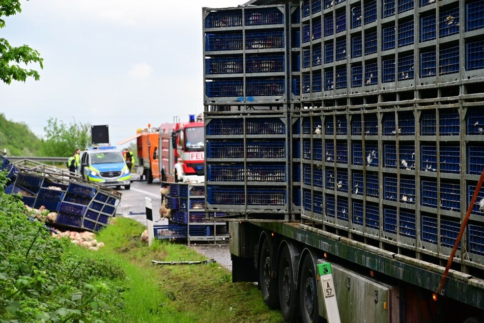 Für viele Hühner kam jede Rettung zu spät. Sie starben bei dem Unfall auf der Autobahn 46.