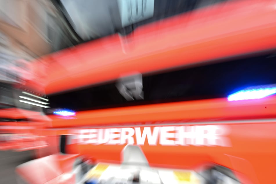 Gleich zweimal war die Dresdner Feuerwehr wegen eines Katzen-Notfalls im Einsatz. (Symbolfoto)